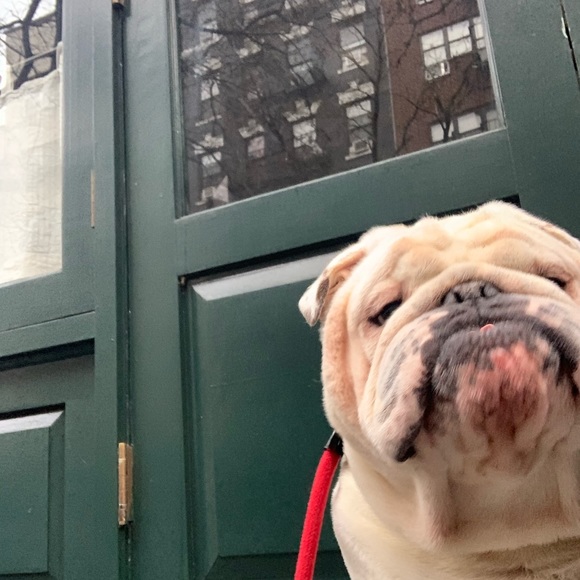 Meet your Posher, Pam - Picture 1 of 1